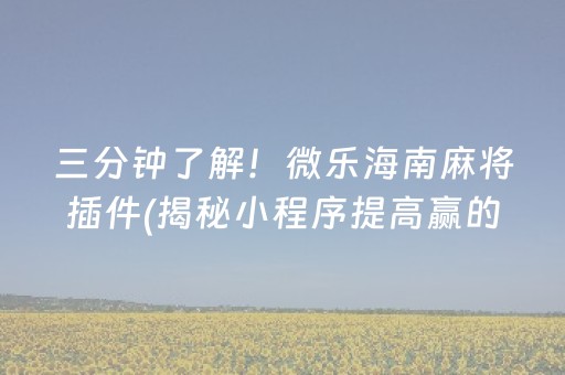 三分钟了解！微乐海南麻将插件(揭秘小程序提高赢的概率)