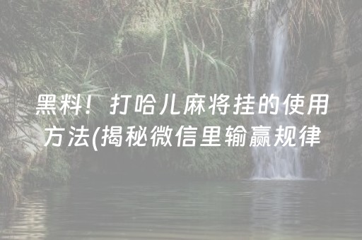 黑料！打哈儿麻将挂的使用方法(揭秘微信里输赢规律)