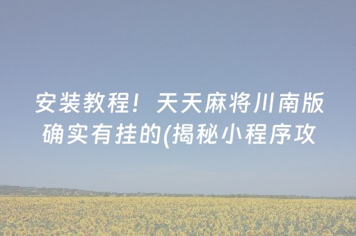 安装教程！天天麻将川南版确实有挂的(揭秘小程序攻略插件)