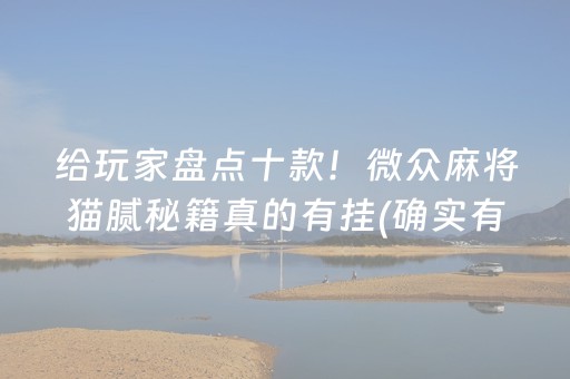 给玩家盘点十款！微众麻将猫腻秘籍真的有挂(确实有挂)