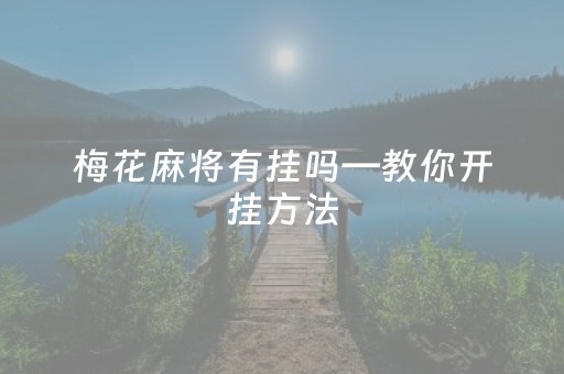 梅花麻将有挂吗—教你开挂方法（梅花打牌图片）