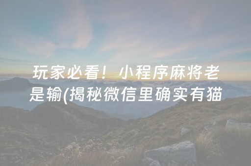 玩家必看！小程序麻将老是输(揭秘微信里确实有猫腻)