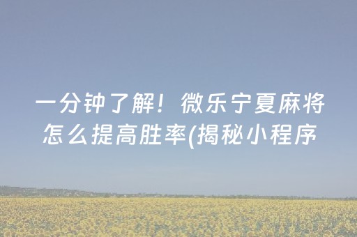 一分钟了解！微乐宁夏麻将怎么提高胜率(揭秘小程序助赢软件)