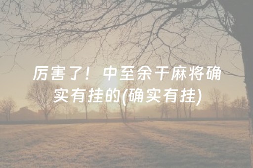 厉害了！中至余干麻将确实有挂的(确实有挂)
