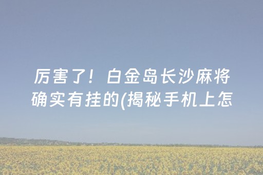 厉害了！白金岛长沙麻将确实有挂的(揭秘手机上怎么容易赢)