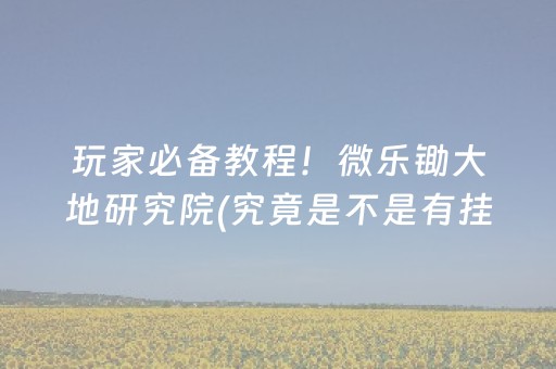 玩家必备教程！微乐锄大地研究院(究竟是不是有挂)
