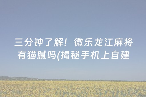 三分钟了解！微乐龙江麻将有猫腻吗(揭秘手机上自建房怎么赢)