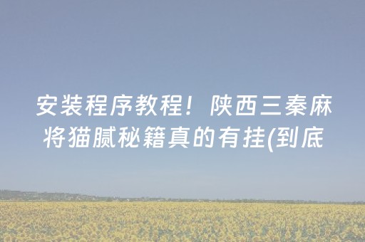 安装程序教程！陕西三秦麻将猫腻秘籍真的有挂(到底是不是有挂)