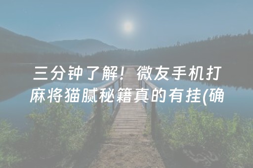 三分钟了解！微友手机打麻将猫腻秘籍真的有挂(确实有挂吗)