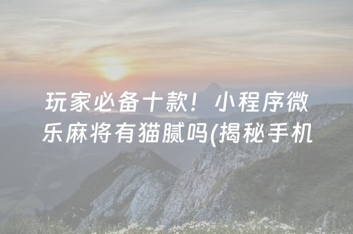 玩家必备十款！小程序微乐麻将有猫腻吗(揭秘手机上赢的诀窍)