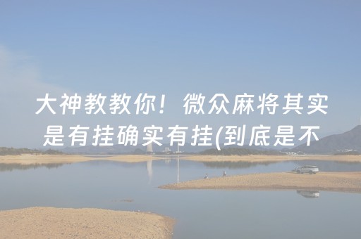 大神教教你！微众麻将其实是有挂确实有挂(到底是不是有挂)