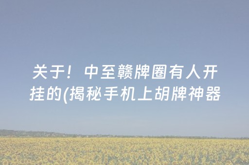 关于！中至赣牌圈有人开挂的(揭秘手机上胡牌神器)