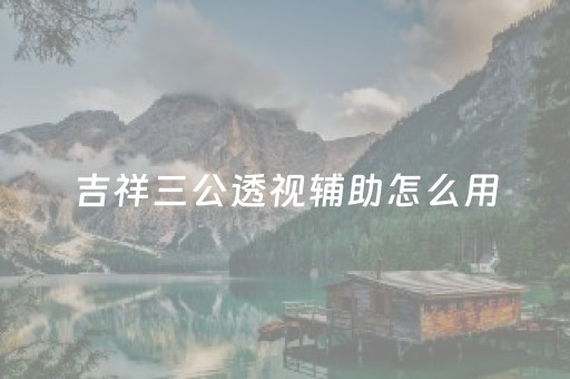 吉祥三公透视辅助怎么用（吉祥三公系统出牌规律）