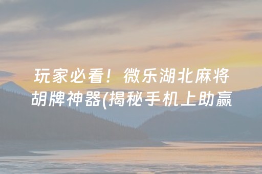 玩家必看！微乐湖北麻将胡牌神器(揭秘手机上助赢软件)