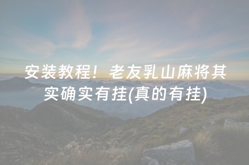 安装教程！老友乳山麻将其实确实有挂(真的有挂)