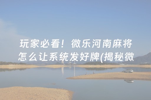 玩家必看！微乐河南麻将怎么让系统发好牌(揭秘微信里助手软件)