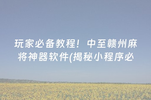 玩家必备教程！中至赣州麻将神器软件(揭秘小程序必备神器)