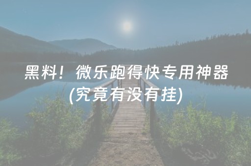 黑料！微乐跑得快专用神器(究竟有没有挂)