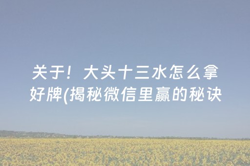 关于！大头十三水怎么拿好牌(揭秘微信里赢的秘诀)