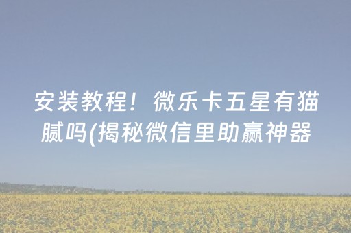 安装教程！微乐卡五星有猫腻吗(揭秘微信里助赢神器)