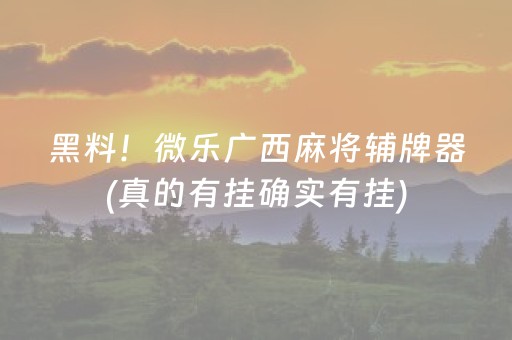 黑料！微乐广西麻将辅牌器(真的有挂确实有挂)