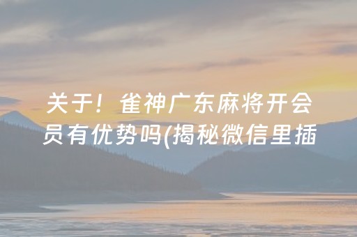 关于！雀神广东麻将开会员有优势吗(揭秘微信里插件购买)