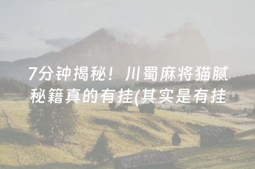 7分钟揭秘！川蜀麻将猫腻秘籍真的有挂(其实是有挂确实有挂)
