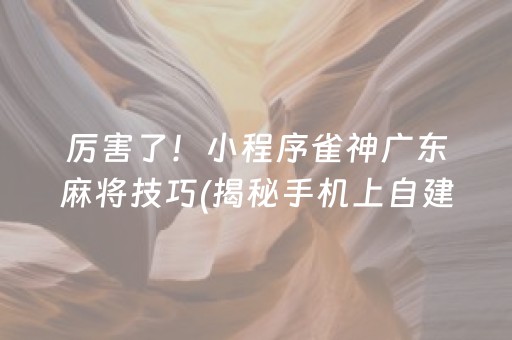 厉害了！小程序雀神广东麻将技巧(揭秘手机上自建房怎么赢)