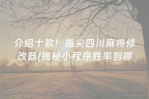 介绍十款！指尖四川麻将修改器(揭秘小程序胜率到哪调)