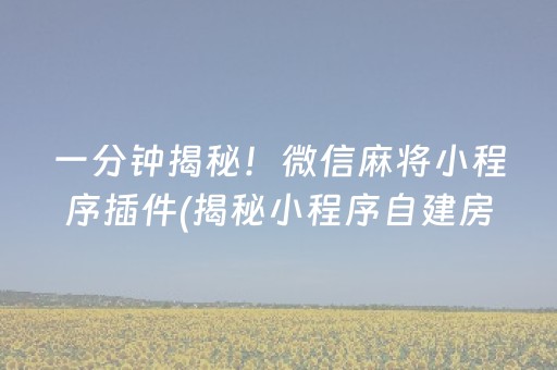 一分钟揭秘！微信麻将小程序插件(揭秘小程序自建房怎么赢)