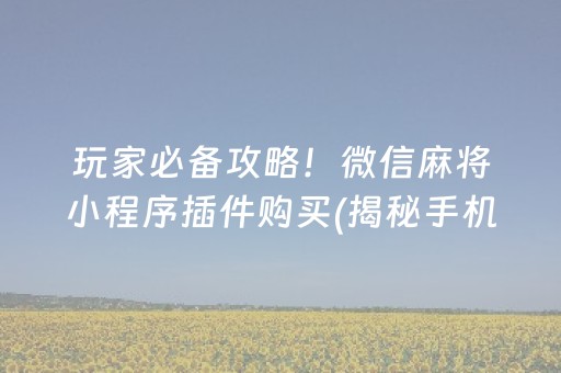 玩家必备攻略！微信麻将小程序插件购买(揭秘手机上攻略插件)