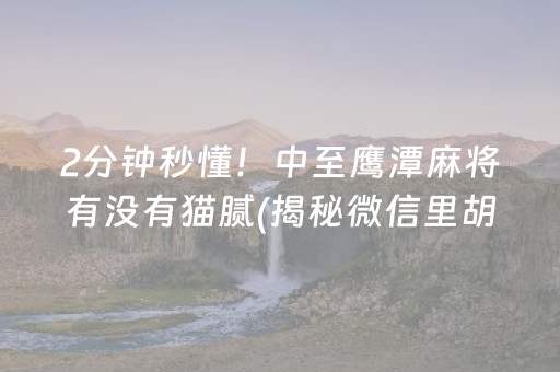 2分钟秒懂！中至鹰潭麻将有没有猫腻(揭秘微信里胡牌技巧)