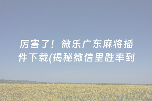 厉害了！微乐广东麻将插件下载(揭秘微信里胜率到哪调)