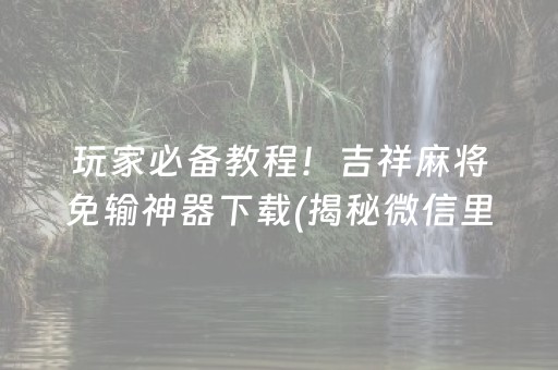 玩家必备教程！吉祥麻将免输神器下载(揭秘微信里提高胜率)