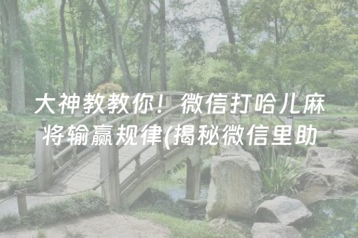 大神教教你！微信打哈儿麻将输赢规律(揭秘微信里助手软件)