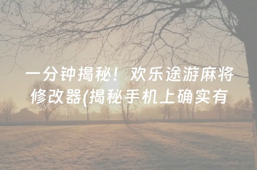 一分钟揭秘！欢乐途游麻将修改器(揭秘手机上确实有猫腻)