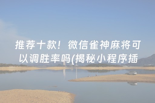 推荐十款！微信雀神麻将可以调胜率吗(揭秘小程序插件下载)