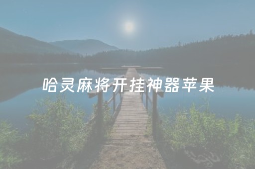 哈灵麻将开挂神器苹果（哈灵麻将开挂工具免费ios）