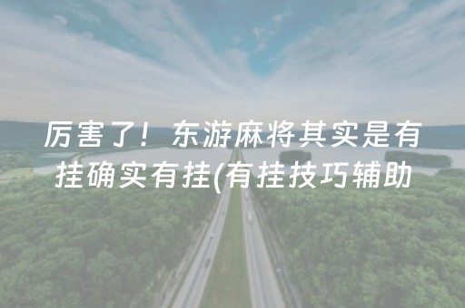 厉害了！东游麻将其实是有挂确实有挂(有挂技巧辅助器)