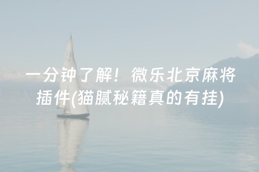 一分钟了解！微乐北京麻将插件(猫腻秘籍真的有挂)