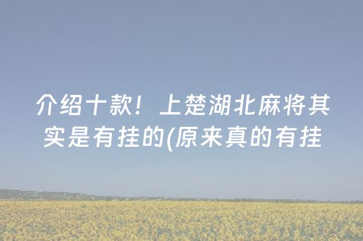 介绍十款！上楚湖北麻将其实是有挂的(原来真的有挂)
