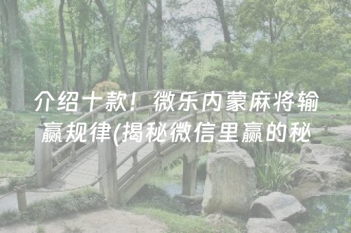 介绍十款！微乐内蒙麻将输赢规律(揭秘微信里赢的秘诀)