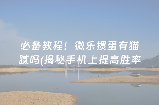 必备教程！微乐掼蛋有猫腻吗(揭秘手机上提高胜率)