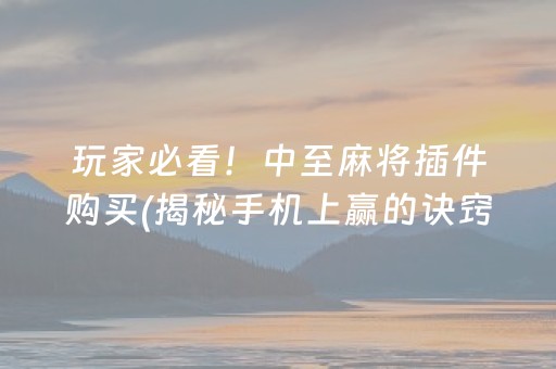 玩家必看！中至麻将插件购买(揭秘手机上赢的诀窍)