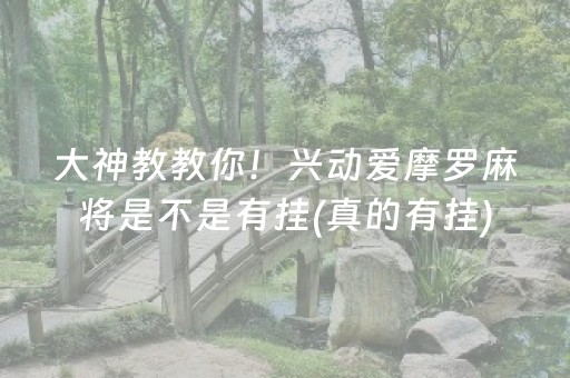 大神教教你！兴动爱摩罗麻将是不是有挂(真的有挂)
