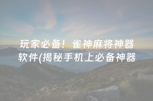 玩家必备！雀神麻将神器软件(揭秘手机上必备神器)