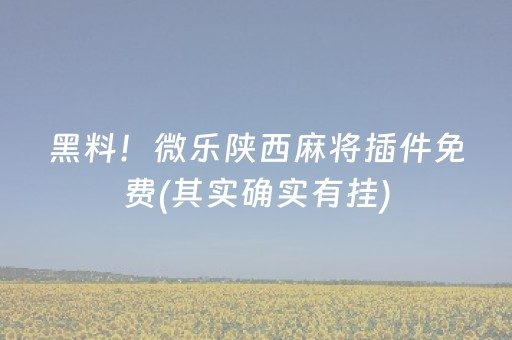 黑料！微乐陕西麻将插件免费(其实确实有挂)