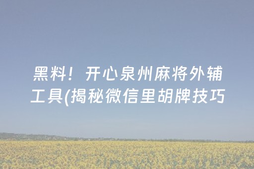 黑料！开心泉州麻将外辅工具(揭秘微信里胡牌技巧)