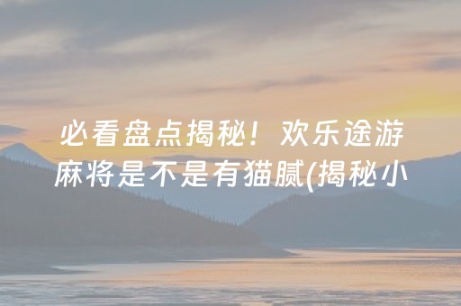 必看盘点揭秘！欢乐途游麻将是不是有猫腻(揭秘小程序确实有猫腻)