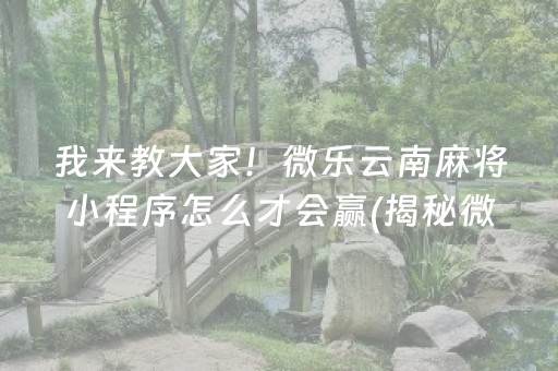 我来教大家！微乐云南麻将小程序怎么才会赢(揭秘微信里插件下载)